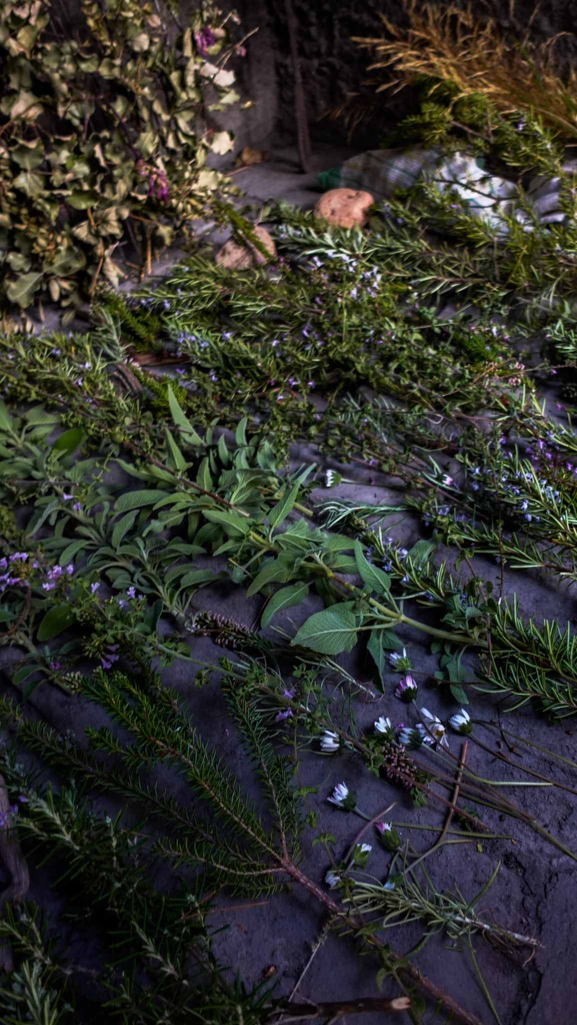 CEREMONIJA POVRATKA ŽENSKOJ SVETOSTI | Offline Ritual na Daljinu