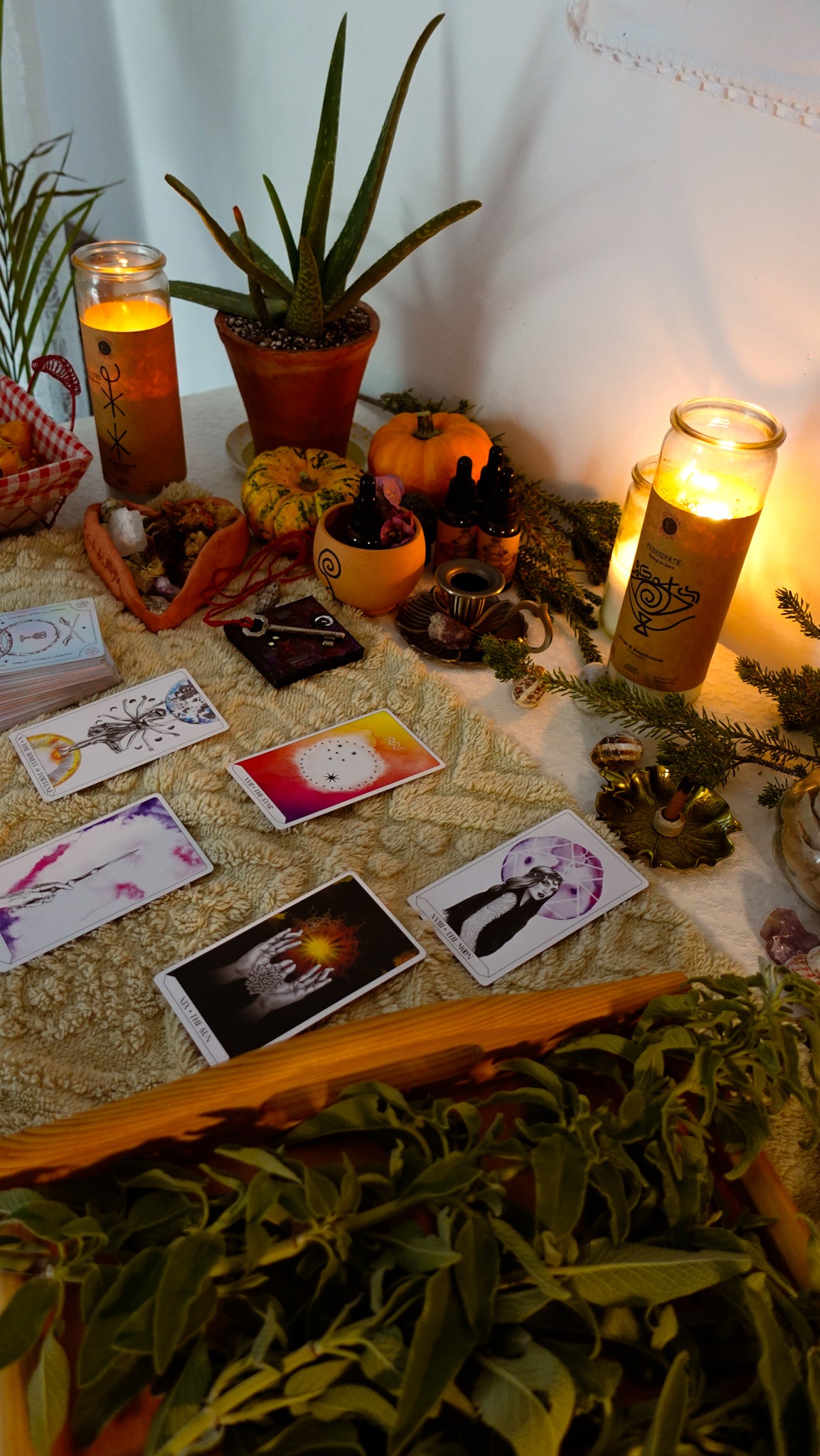 TAROT SEANSA 90 MINUTA [Uživo Online]