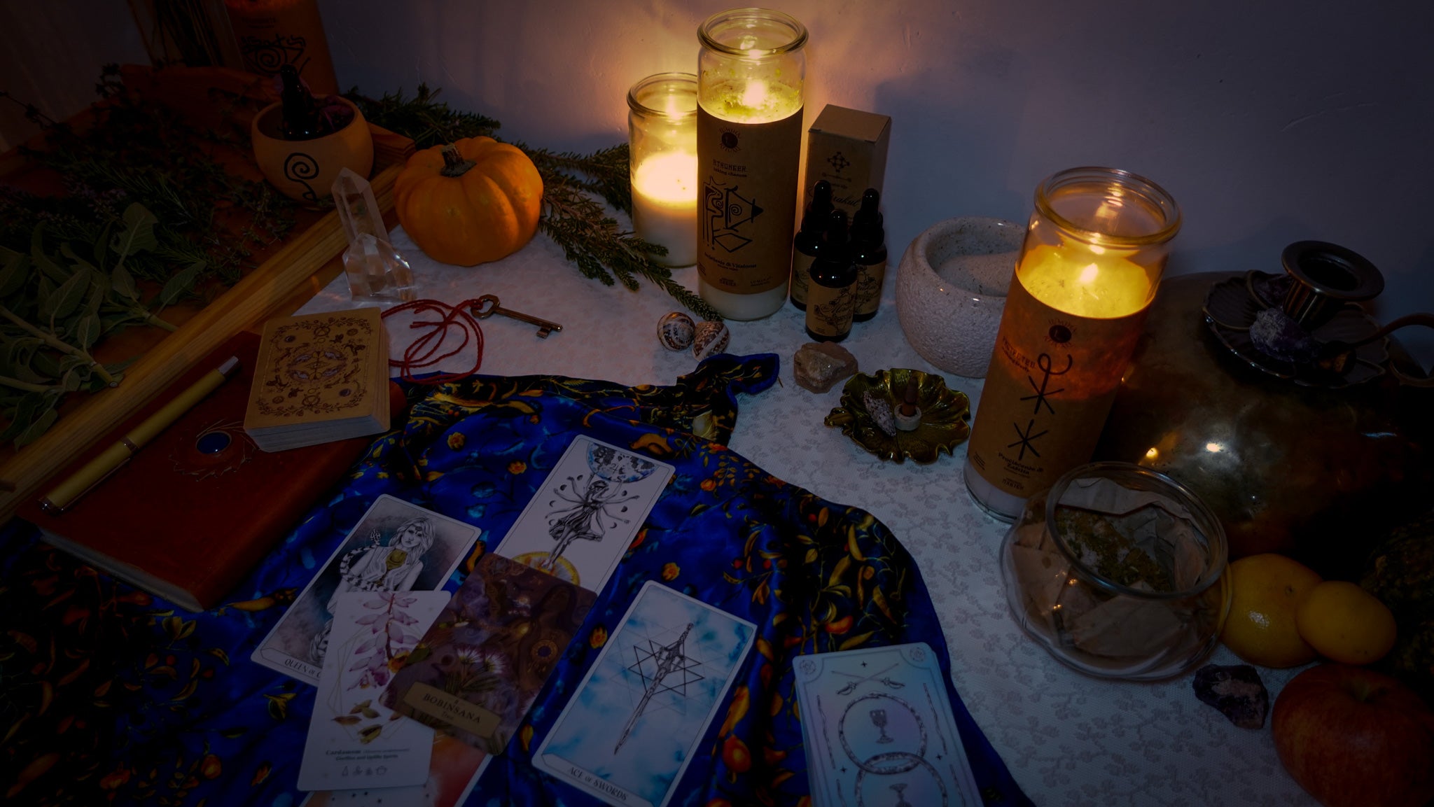 MANIFESTACIJSKA SEANSA 45 MINUTA [Uživo Online]