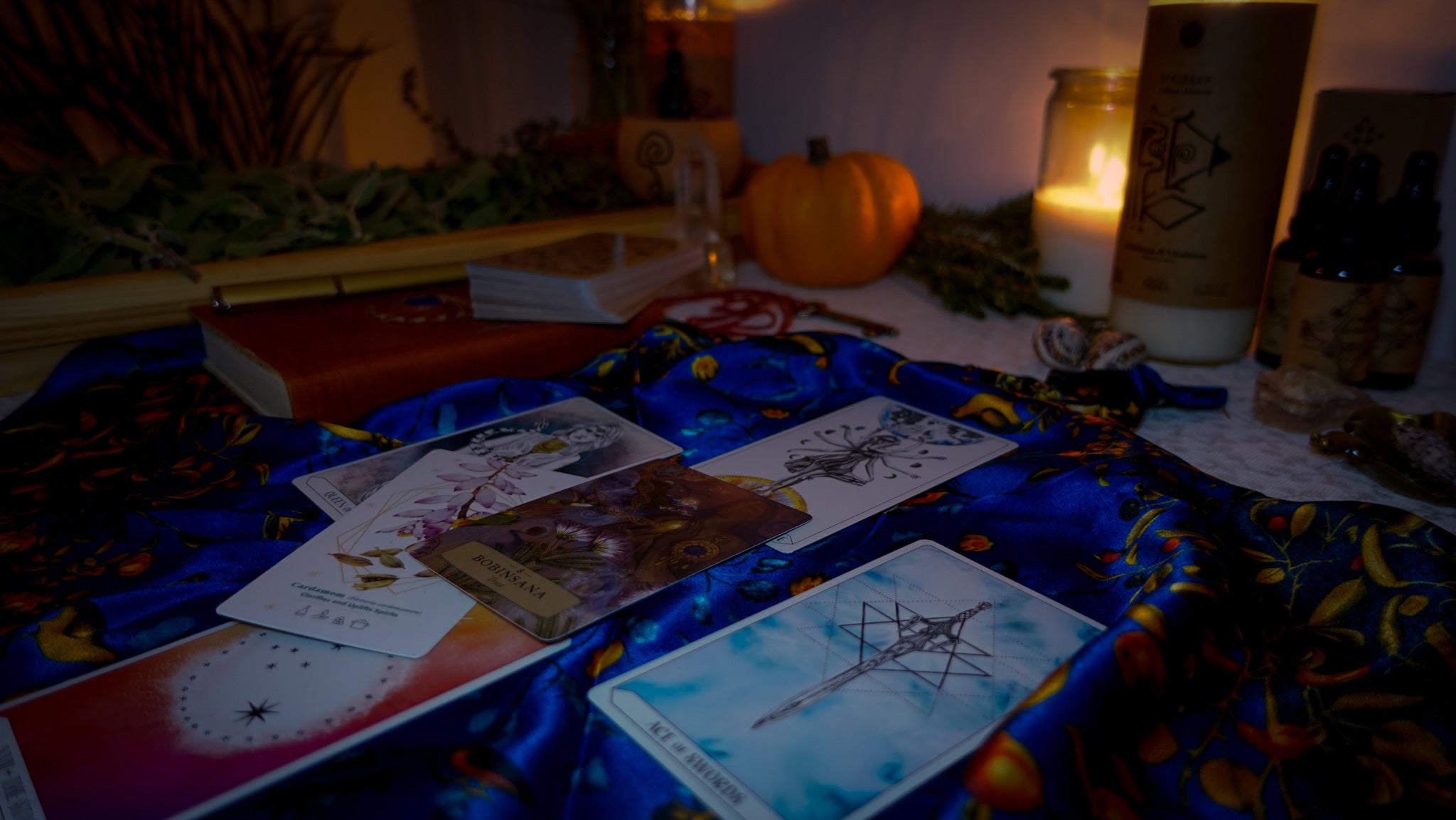 MANIFESTACIJSKA SEANSA 45 MINUTA [Uživo Online]