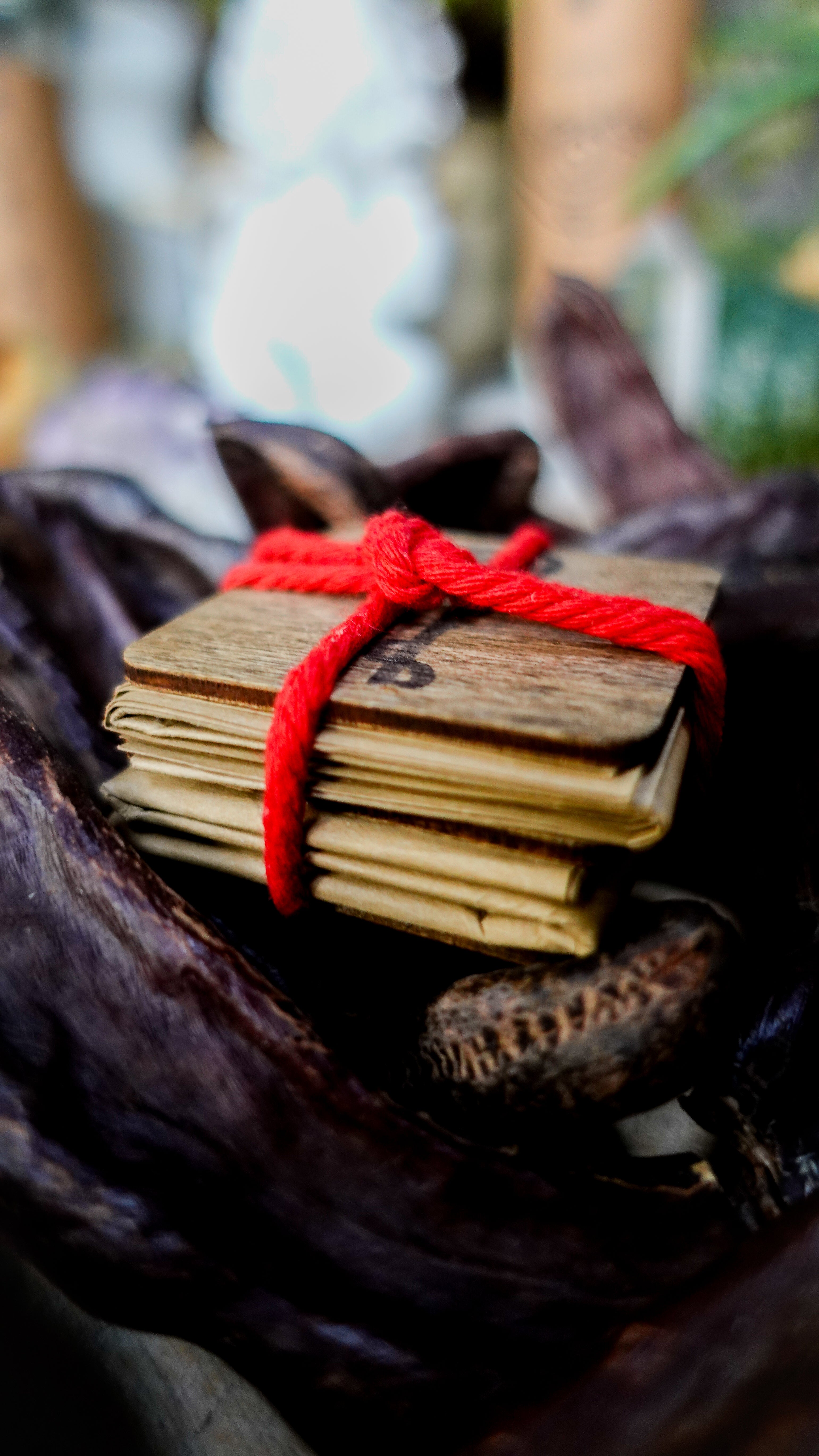LUCKY WALLET Magija za Privlačenje Novca i Bezbrižnost